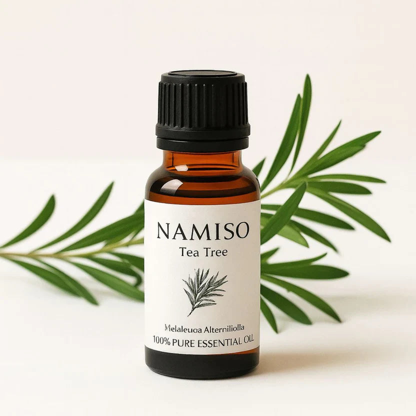 NAMISO - Olier