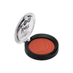 PUROBIO COSMETICS - BLUSH BRICK - MATTE 04