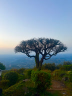 Eksklusivt Retreat i Nice – Frigør krop og sind (Early Bird pris)