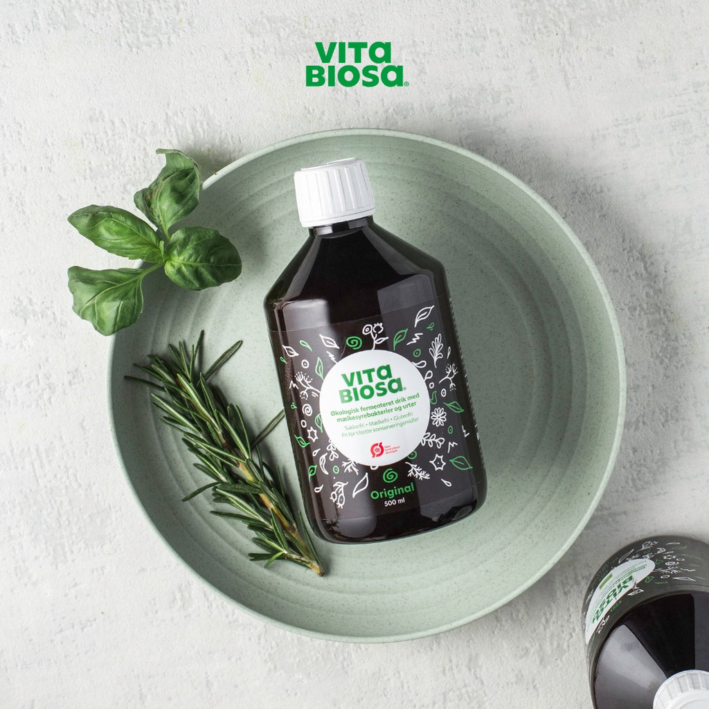 Vita Biosa | Økologisk Fermenteret drik - Original