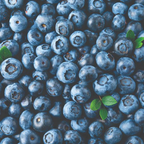 Superfoods - Moisturizing Shampoo - Very Blueberry Cherry - (God til sarte og følsomme hårbunde) - 355 ml