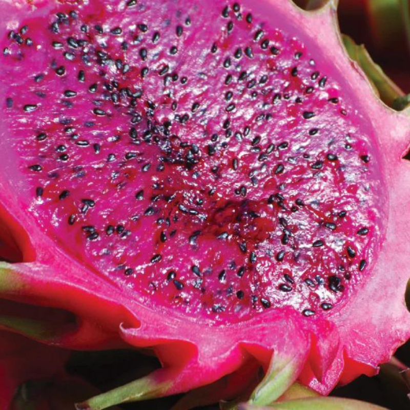 Be Care Love - Superfoods - Color Defense Beauty Mask Treatment -Prickly Pear Seed - 236 ml