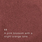 Saint Minerals -  Pressed Eyeshadow - lyserød blomsterfarve - 11